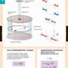 Физика. Электростатика (комплект таблиц) - «globural.ru» - Минусинск
