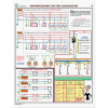 Плакаты "Заземление и защитные меры электробезопасности (при напряжении до 1000 В") - «globural.ru» - Минусинск