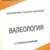 DVD "Валеология" - «globural.ru» - Минусинск