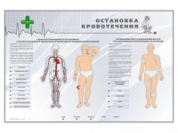 Электрифицированный стенд "Остановка кровотечения" - «globural.ru» - Минусинск