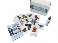 Магнитно-маркерный плакат "Птицы зимой" с набором магнитных карточек + методические рекомендации - Товары для образования