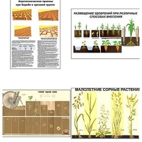 Плакаты ПРОФТЕХ "Агрономия" (5 пл, винил, 70х100) - «globural.ru» - Минусинск