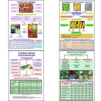Плакаты ПРОФТЕХ "Классификация овощей" (11 пл, винил, 70х100) - «globural.ru» - Минусинск