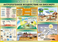 Таблица Антропогенное воздействие на биосферу 1000*700 винил - «globural.ru» - Минусинск