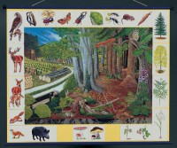 Магнитный плакат "Природное сообщество леса" - Товары для образования