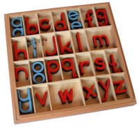 Английский подвижный деревянный алфавит в коробке - печатные буквы. 5/10 штук - Товары для образования