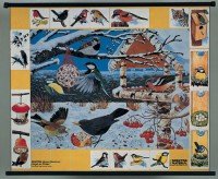 Магнитный плакат "Птицы зимой" - Товары для образования