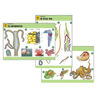 Комплект таблиц по биологии демонстрационный "Зоология 1" (14 таблиц, формат А1, лам.) - «globural.ru» - Минусинск