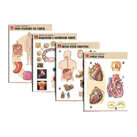 Комплект таблиц по биологии демонстрационный "Человек и его здоровье 1" (20 таблиц, формат А1, лам.) - «globural.ru» - Минусинск