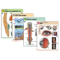 Комплект таблиц по всему курсу биологии (120 штук, формат А1, полноцв, лам) - «globural.ru» - Минусинск