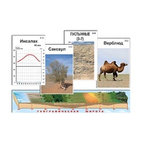 Модель-аппликация "Природные зоны" (ламинированная) - «globural.ru» - Минусинск