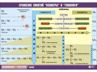 Таблица демонстрационная "Сравнение понятий изомер и гомолог" (винил 100х140) - «globural.ru» - Минусинск