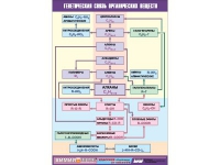 Таблица демонстрационная "Генетическая связь органических веществ" (винил 100x140) - «globural.ru» - Минусинск