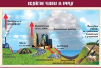 Таблица демонстрационная "Воздействие человека на природу" (винил 100х140) - «globural.ru» - Минусинск