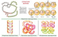 Плакаты и таблицы по общей химии - «globural.ru» - Минусинск