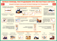  Таблица Общий порядок оказания первой помощи пострадавшим 1000*1400 винил	 - «globural.ru» - Минусинск