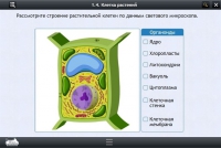 Интерактивные курсы. Биология 9 класс. Базовый - «globural.ru» - Минусинск