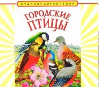 CD "Аудиоэнциклопедия. Городские птицы" - «globural.ru» - Минусинск