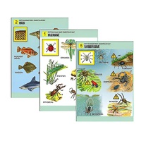 Комплект таблиц для начальной школы "Окружающий мир. Животный мир" - «globural.ru» - Минусинск