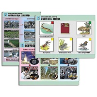 Комплект таблиц для  начальной школы "Окружающий мир. Экология" - «globural.ru» - Минусинск