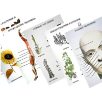 Таблицы по природоведению 1-3 класс - «globural.ru» - Минусинск