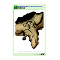 Рельефная таблица "Археоптерикс" (формат А1, матовое ламинир.) - «globural.ru» - Минусинск