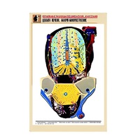 Рельефная таблица "Долька печени. Макро-микростроение" (формат А1, матовое ламинир.) - «globural.ru» - Минусинск