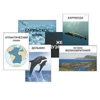 Модель-аппликация "Океаны. Знакомство" (ламинированная) - «globural.ru» - Минусинск