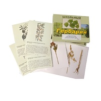 Гербарий "Систематика растений. Семейство Бобовые. Злаки" (раздаточный) - «globural.ru» - Минусинск