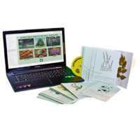 Гербарий натурально-интерактивный "Лекарственные растения" - «globural.ru» - Минусинск