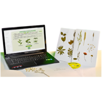 Гербарий натурально-интерактивный "Морфология растений" - «globural.ru» - Минусинск