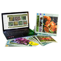 Гербарий натурально-интерактивный "Основные группы растений. Грибы. Лишайники" - «globural.ru» - Минусинск