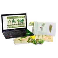 Гербарий натурально-интерактивный "Растительные сообщества. Лес" - «globural.ru» - Минусинск