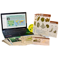 Гербарий натурально-интерактивный к курсу основ общей биологии - «globural.ru» - Минусинск