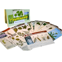 Гербарий к курсу основ общей биологии - «globural.ru» - Минусинск