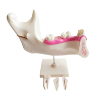 Комплект моделей - «globural.ru» - Минусинск