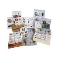 Комплект коллекций демонстрационный - «globural.ru» - Минусинск