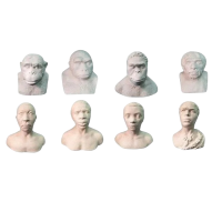 Набор палеонтологических муляжей - «globural.ru» - Минусинск