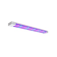 Фитолампа - «globural.ru» - Минусинск