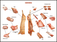 Правила разделки мясных туш "Свинина" 1000*1400 винил - «globural.ru» - Минусинск