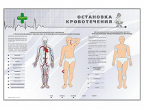 Электрифицированный стенд "Остановка кровотечения" - «globural.ru» - Минусинск