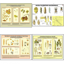 Плакаты ПРОФТЕХ "Вредители и болезни с/х культур и меры борьбы с ними" (11 пл, винил, 70х100) - «globural.ru» - Минусинск