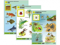 Комплект таблиц для начальной школы "Окружающий мир. Животный мир" - «globural.ru» - Минусинск