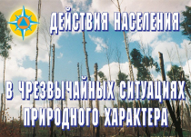 Комплект плакатов "Действия населения в ЧС природного характера" - «globural.ru» - Минусинск