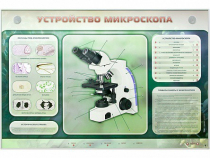 Электрифицированный стенд "Устройство микроскопа и правила работы c ним" - «globural.ru» - Минусинск