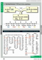 Химия. Белки и нуклеиновые кислоты (комплект таблиц) - «globural.ru» - Минусинск
