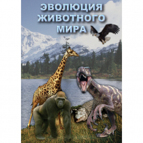 DVD Эволюция животного мира - «globural.ru» - Минусинск