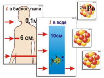 Модель-аппликация "Явление радиоактивности" (ламинированная) - «globural.ru» - Минусинск