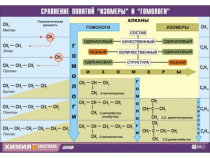 Таблица демонстрационная "Сравнение понятий изомер и гомолог" (винил 100х140) - «globural.ru» - Минусинск