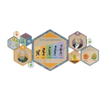 «Стендум - Биология» - набор информационно-методических панелей (10 шт.) - «globural.ru» - Минусинск